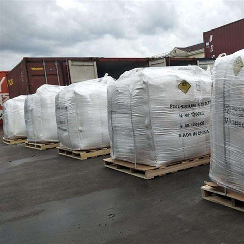 如何利用硼酸殺死蟑螂？